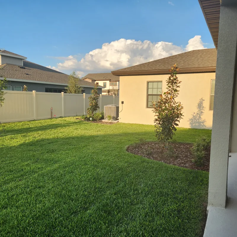 Freshly cut backyard lawn with a young tree ringed in mulch