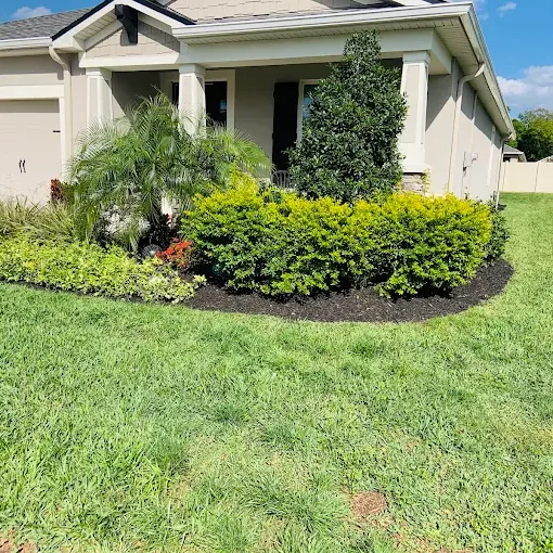 Curved front bed with trimmed shrubs and fresh black mulch