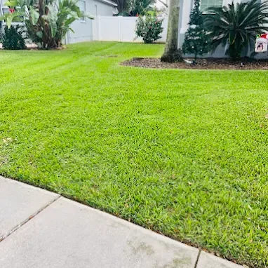 Thick green lawn edged cleanly against a sidewalk