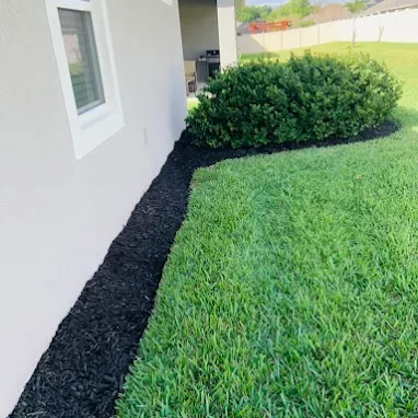 Narrow side bed topped with black mulch beside a mowed lawn