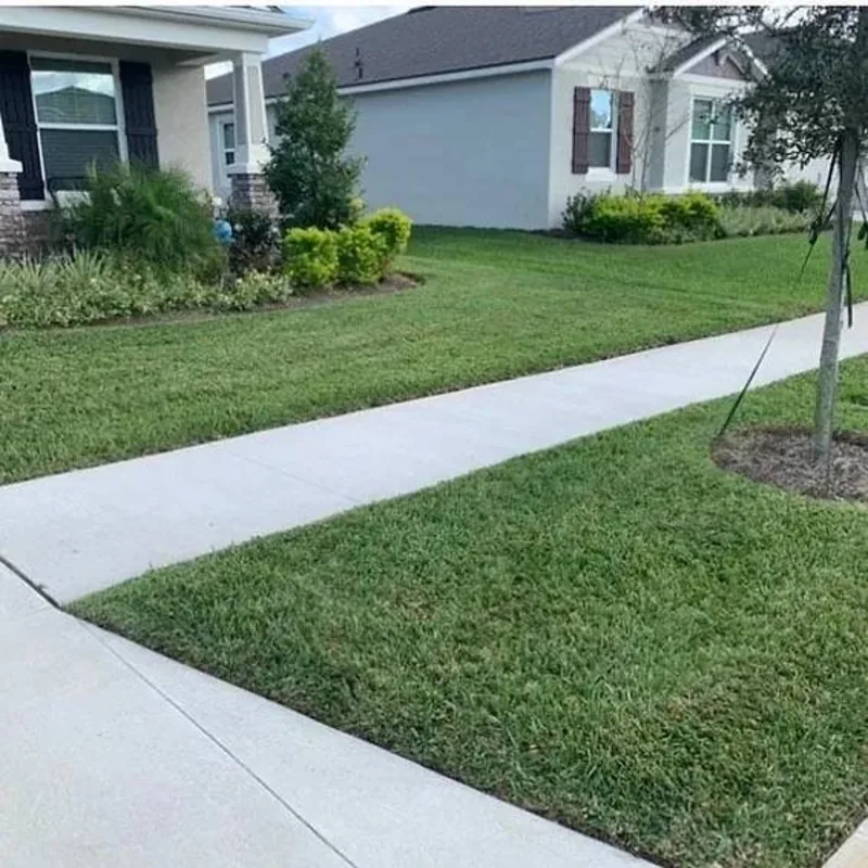 Green front lawn with crisp sidewalk edging and trimmed shrubs
