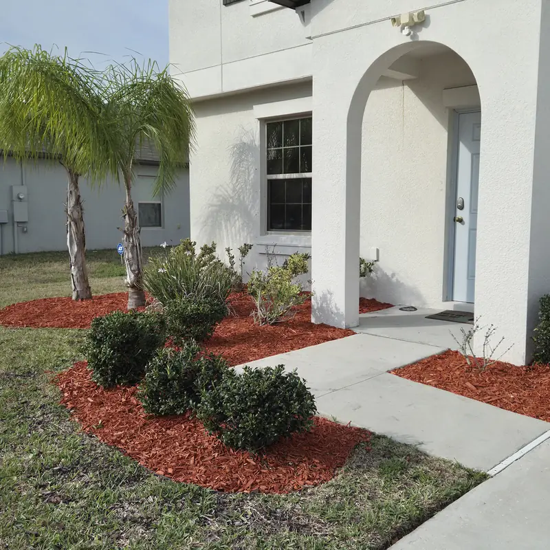 Front entry beds with red mulch, palms and trimmed shrubs
