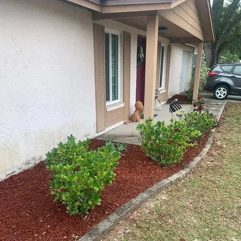 Front bed with fresh red mulch and trimmed shrubs beside a stone border