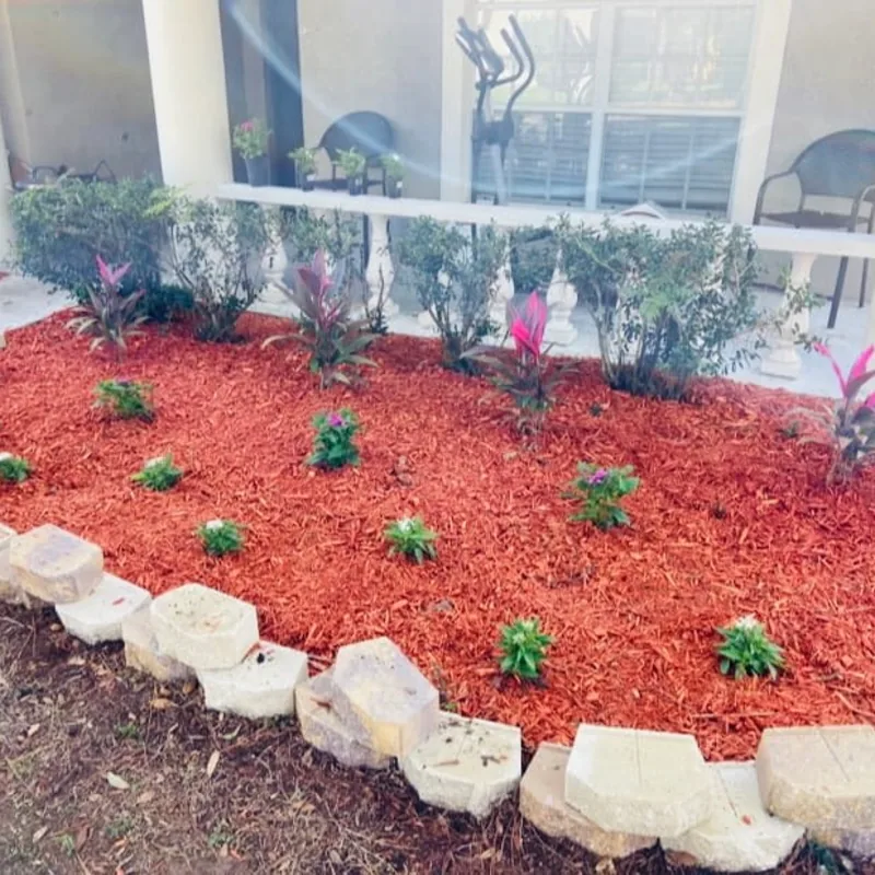 Red mulch bed with new plantings and a cut stone border along a lanai