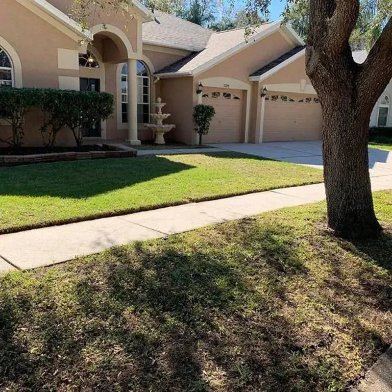 Mowed front lawn and trimmed hedges at a Valrico, FL home