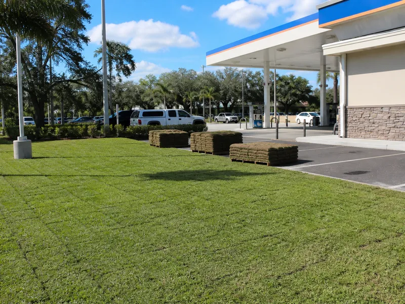 Freshly installed sod beside a gas station in Valrico, FL