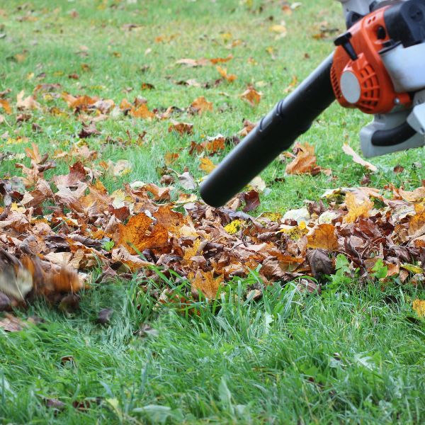 Leaf cleanup service in Valrico, FL