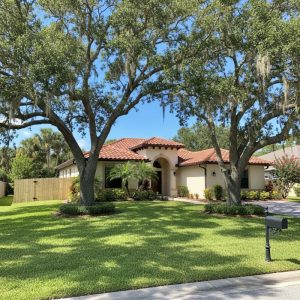 Monthly Lawn Service in Bloomingdale