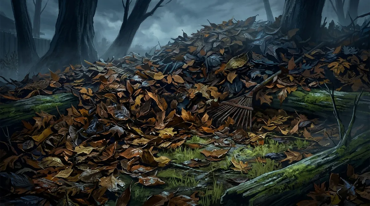 yard clean up near me