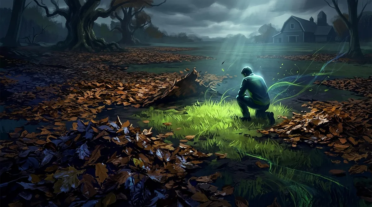 lawn care leaf removal near me