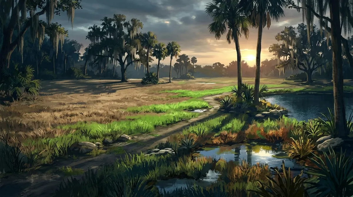 Do Florida lawns go dormant in Riverview and what does that look like?